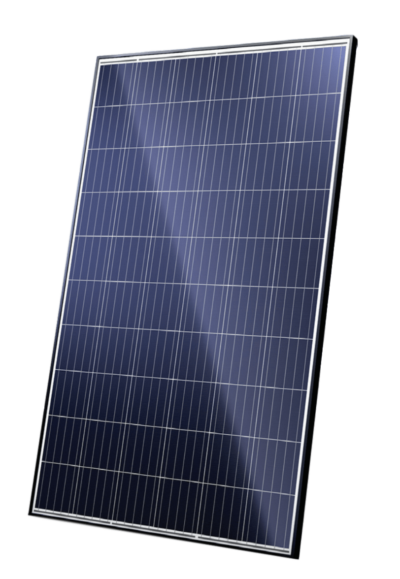 Canadian Solar CS6K-270P Black Poly Solar Panel 1