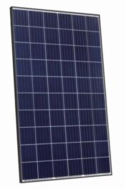JinkoSolar 275w Black Poly Solar Panel 1