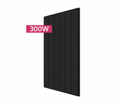 LG 300N1K Black on Black Mono Solar Panel 1